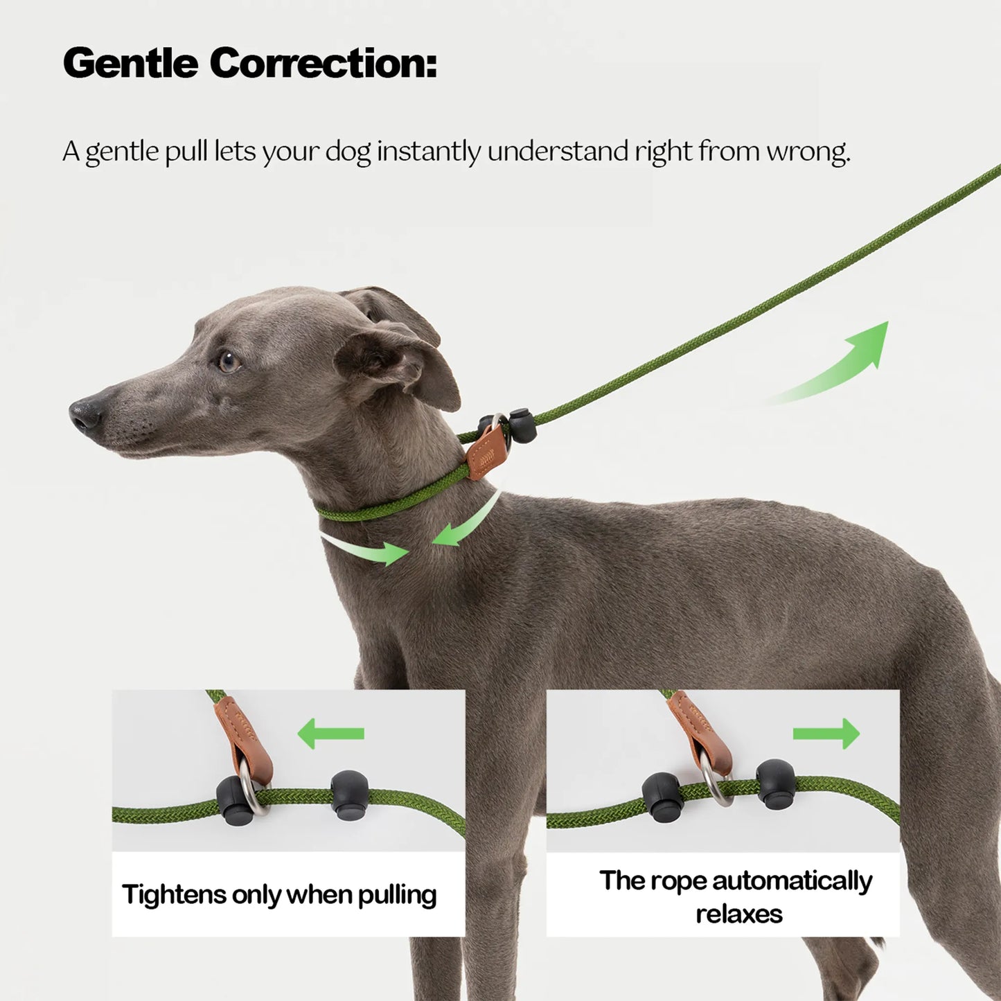 Leather Handle All-in-One P-Leash