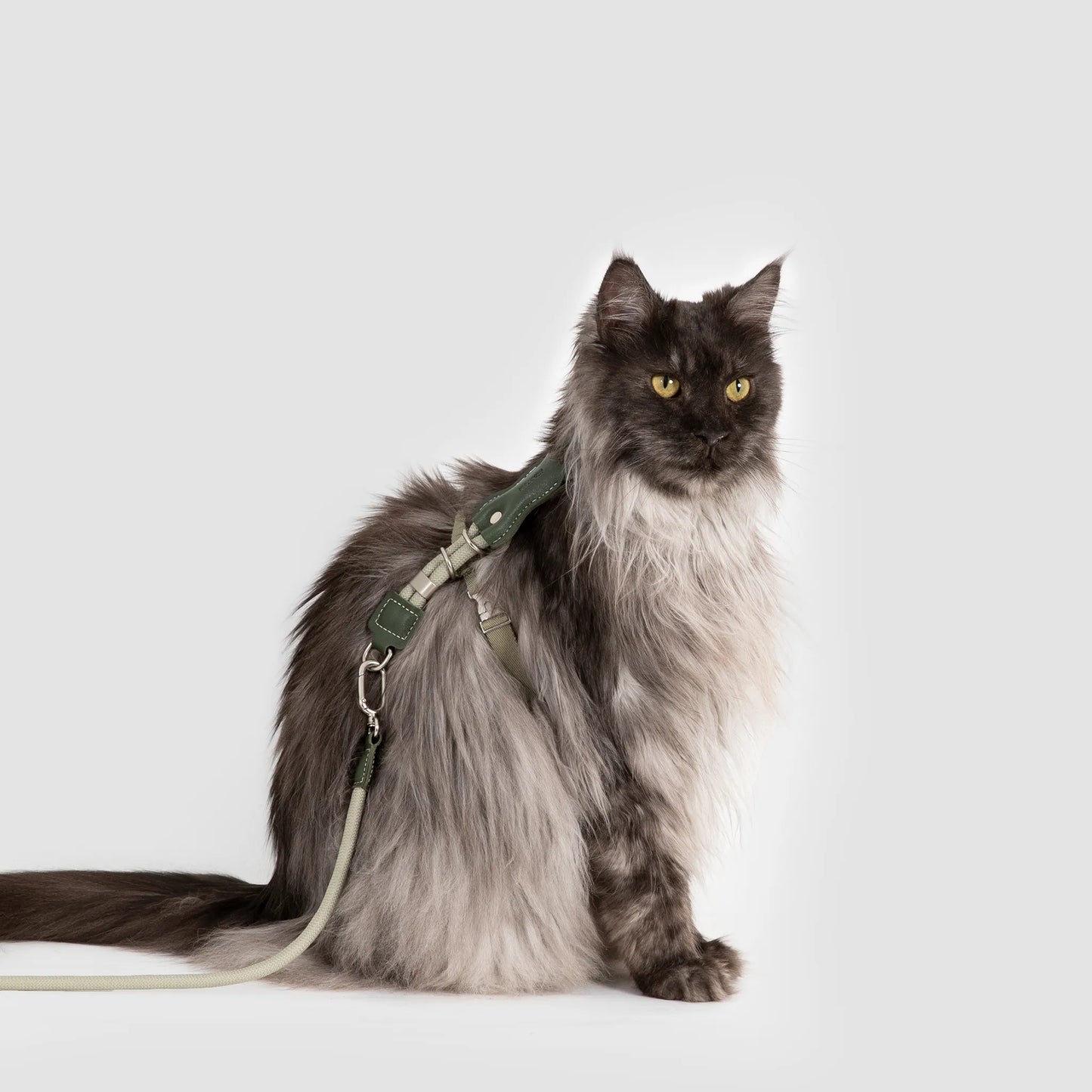 Leather Rope Cat Harness & Leash