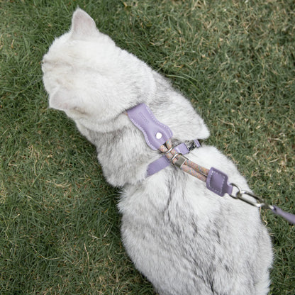 Leather Rope Cat Harness & Leash