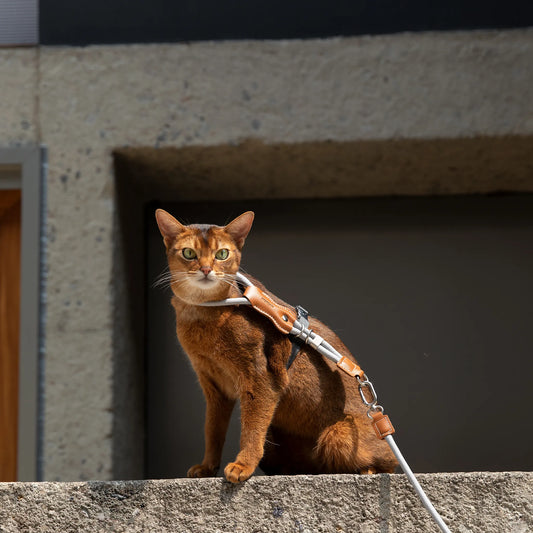 Leather Rope Cat Harness & Leash
