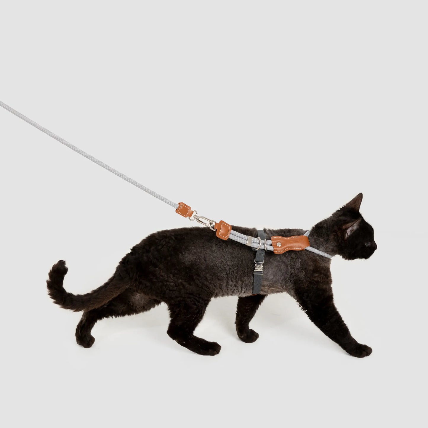 Leather Rope Cat Harness & Leash