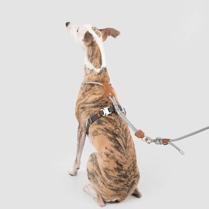 Leather Round Rope Dog Harness