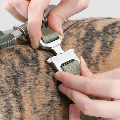 Leather Round Rope Dog Harness