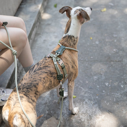 Leather Round Rope Dog Harness