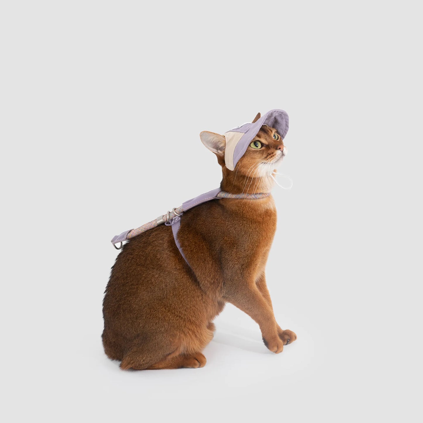 Lightweight Cat Visor