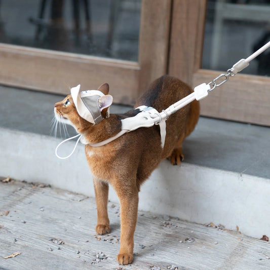 Lightweight Cat Visor