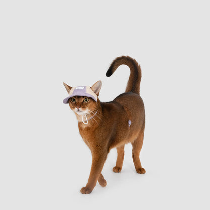 Lightweight Cat Visor