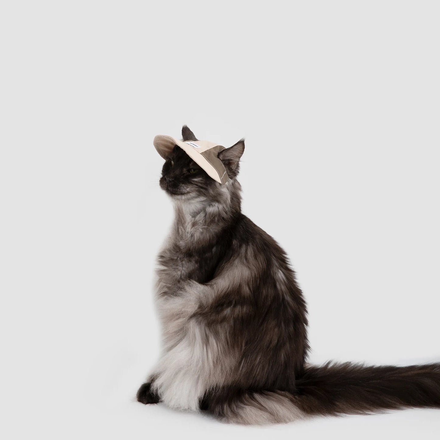 Lightweight Cat Visor