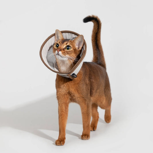 Mesh Pet Elizabethan Collar