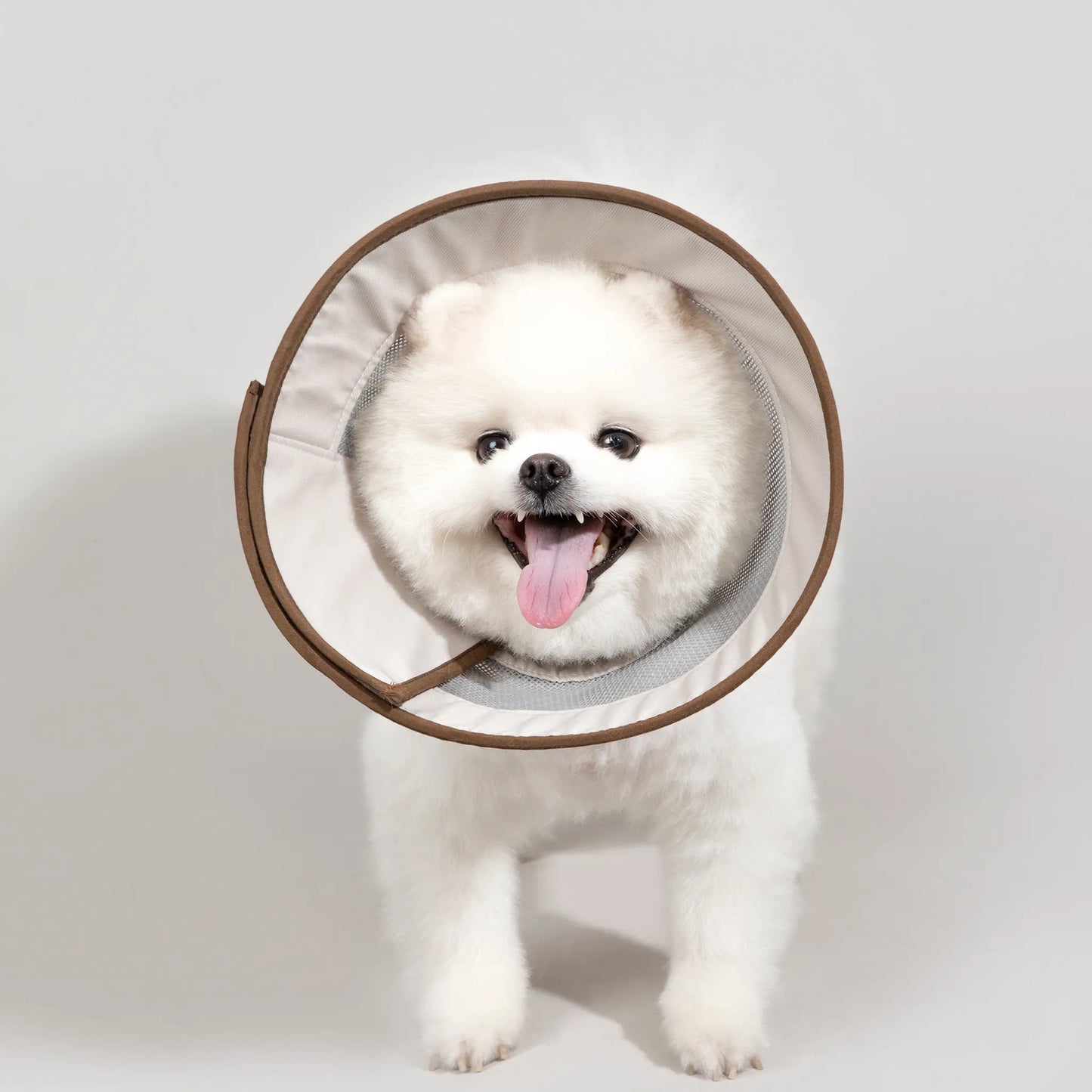 Mesh Pet Elizabethan Collar
