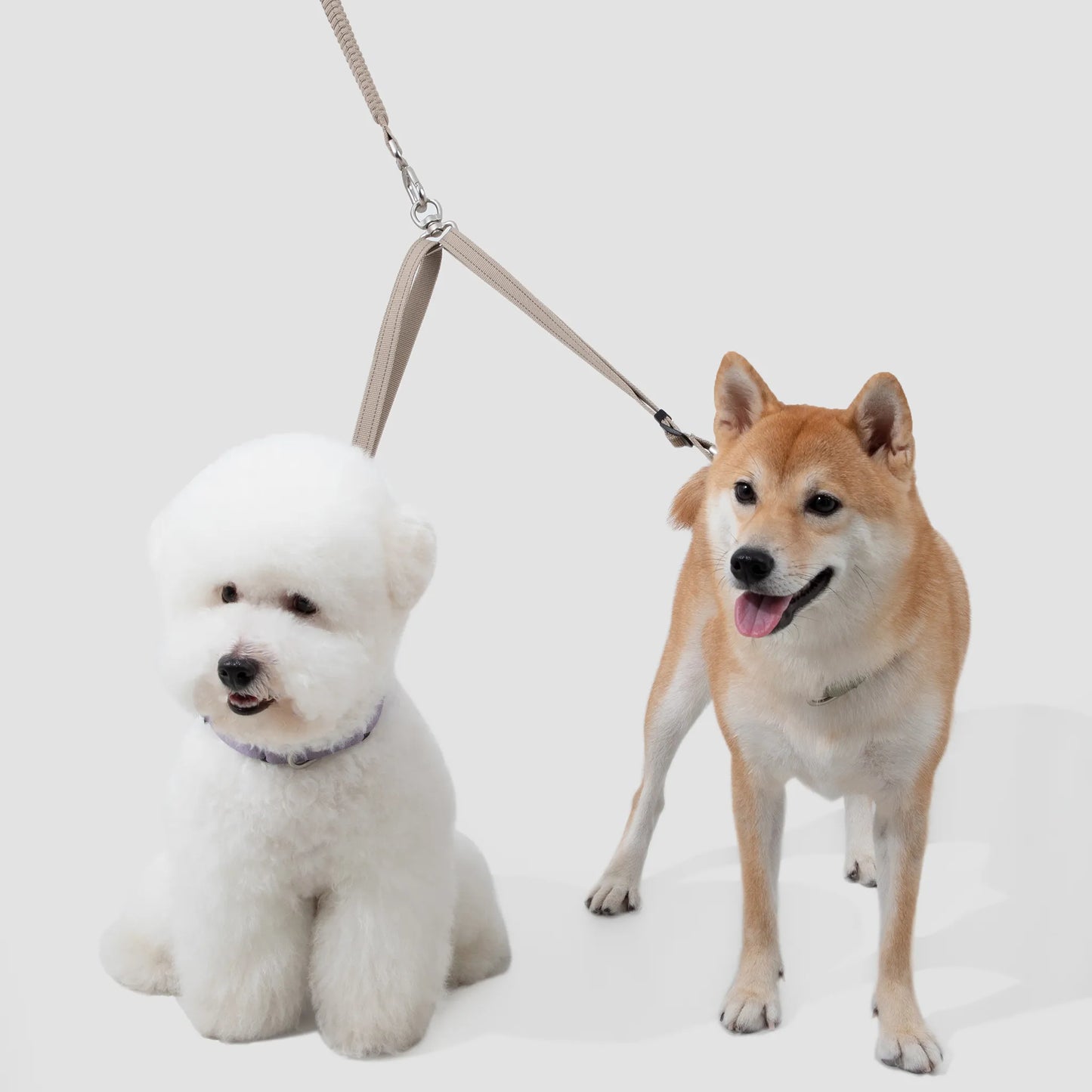 Multi-Function Shock-Absorbing Dog Leash