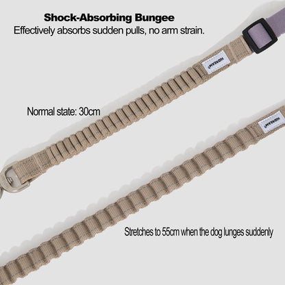Multi-Function Shock-Absorbing Dog Leash