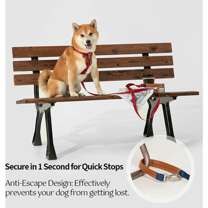 Multi-Functional Leash