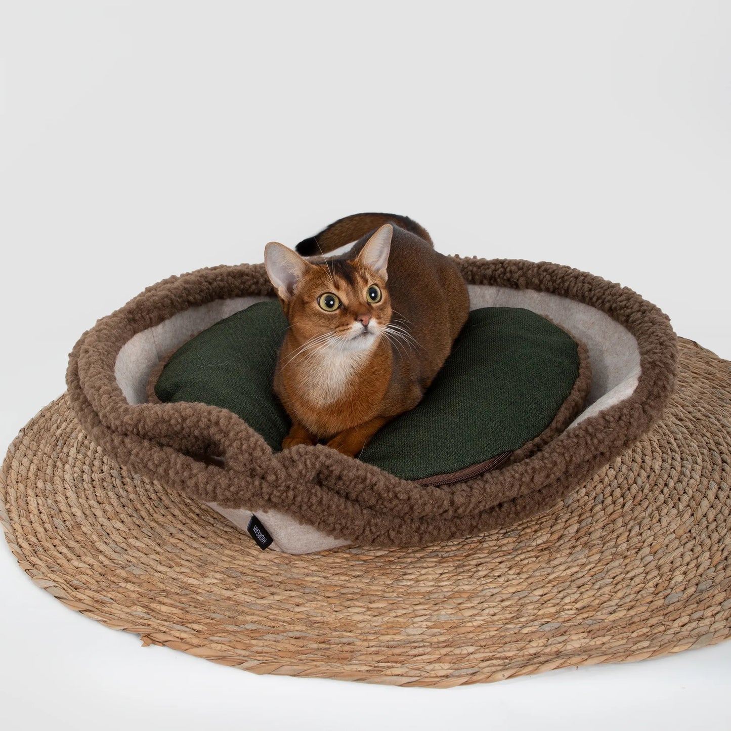 Multi-Functional Tart Pet Bed