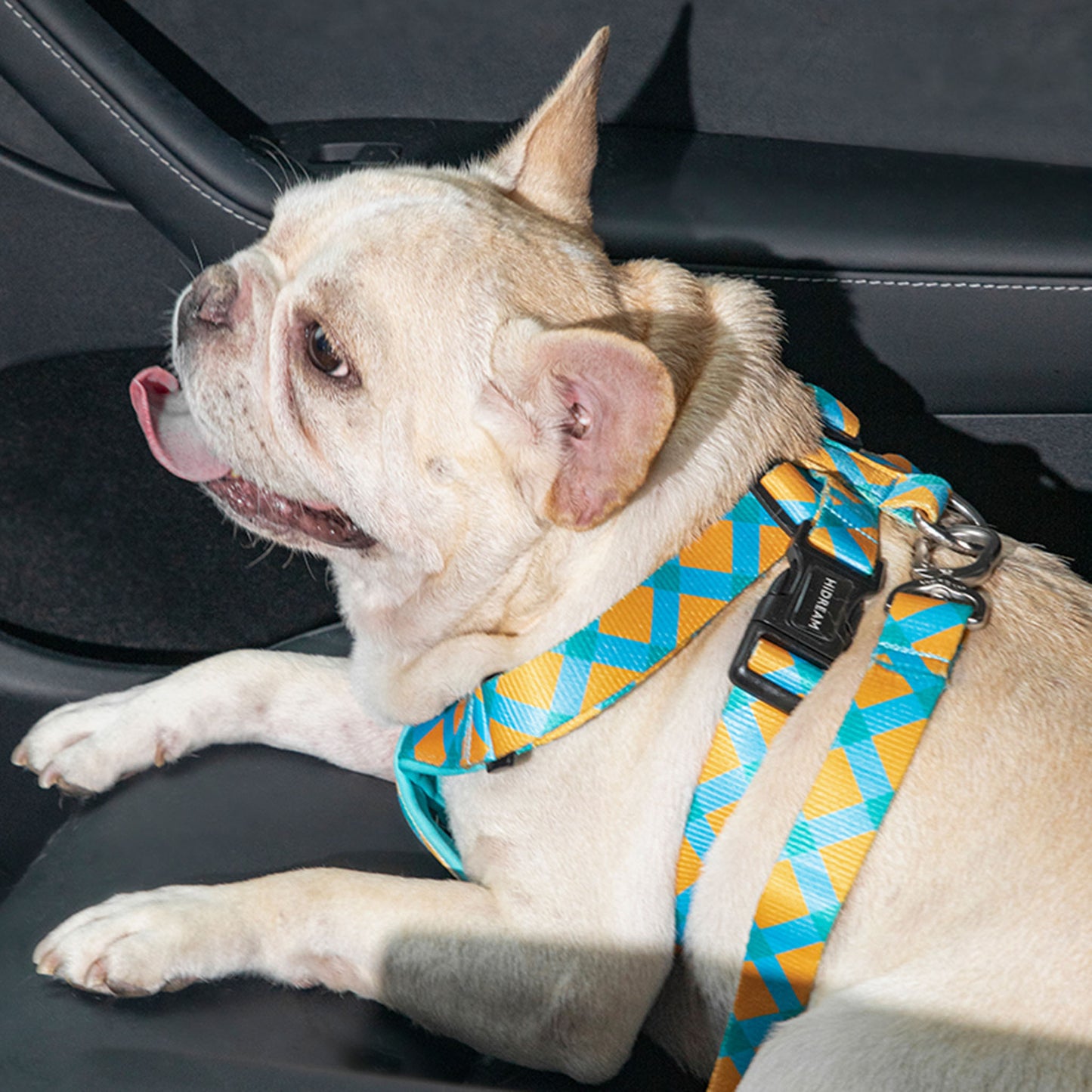 Vibrant Collection Pet Car Safety Seatbelt