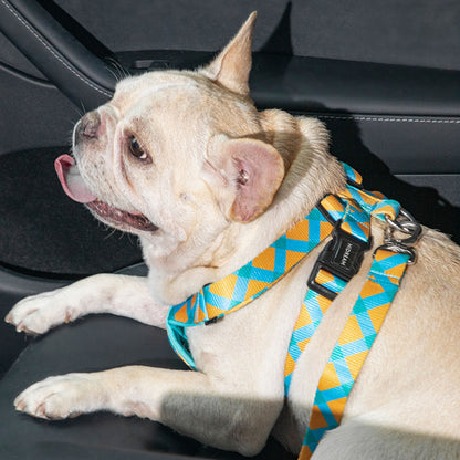 Vibrant Collection Pet Car Safety Seatbelt