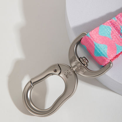 Vibrant Collection Pet Car Safety Seatbelt