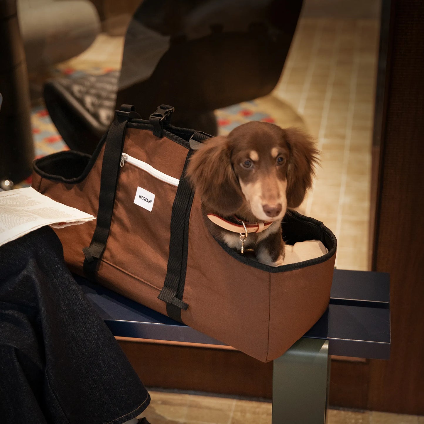 Dachshund Pet Outing Shoulder Bag