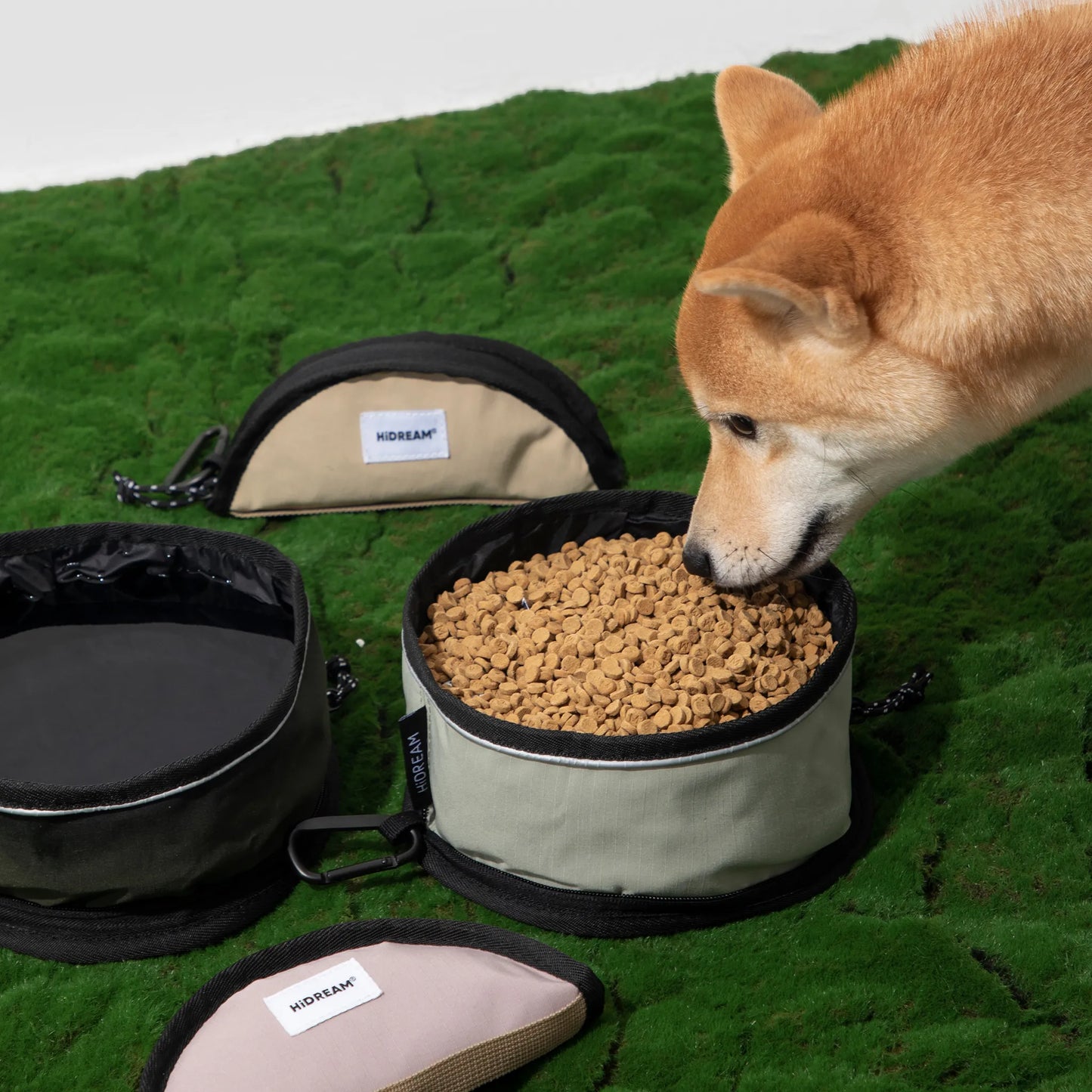 Portable Foldable Pet Bowl