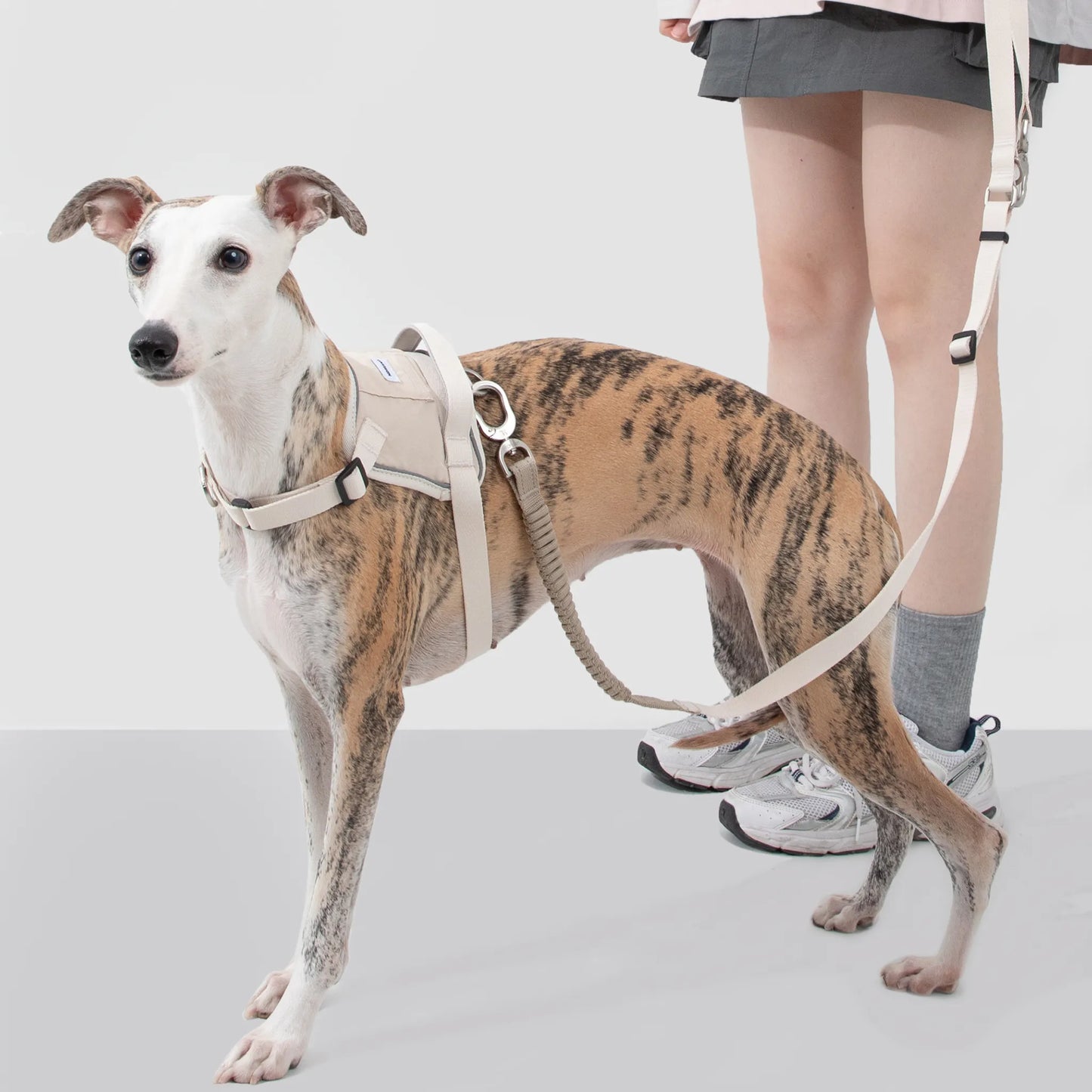 Multi-Function Shock-Absorbing Dog Leash