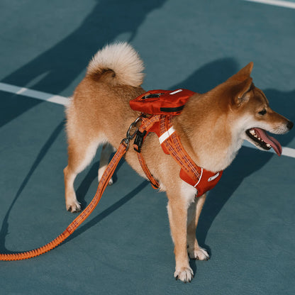 No Pull Dog Harness & Leash Set