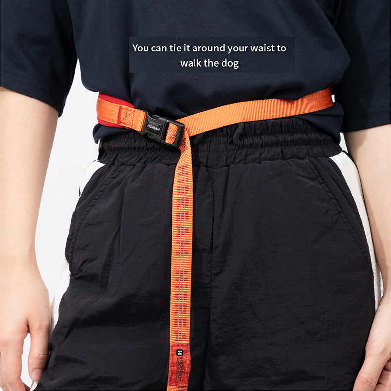 No Pull Dog Harness & Leash Set