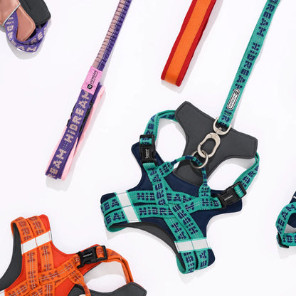 No Pull Dog Harness & Leash Set