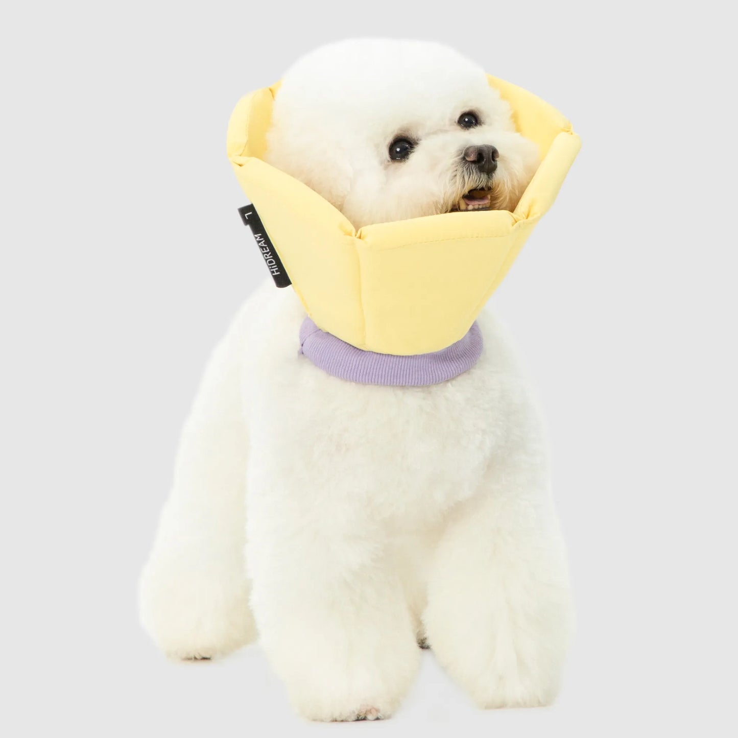 Sponge Cone Elizabethan Collar