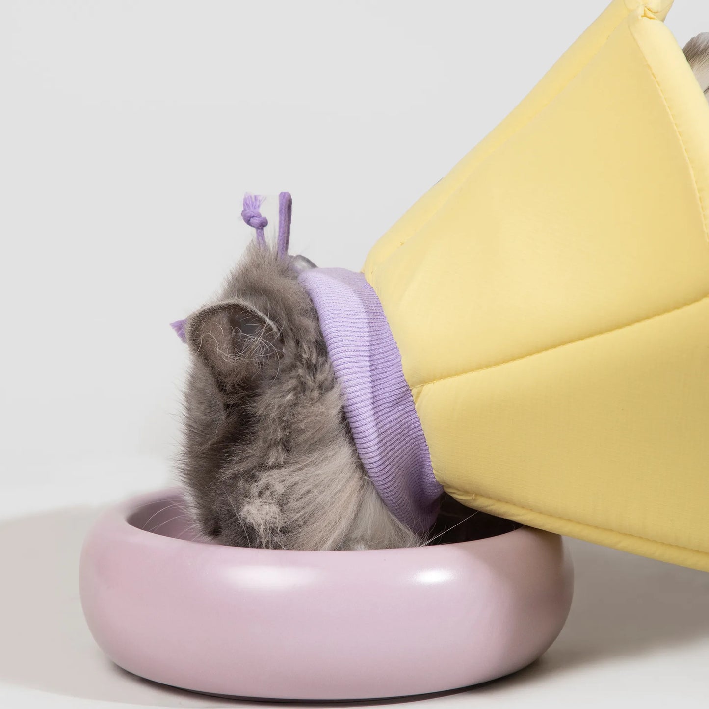 Sponge Cone Elizabethan Collar