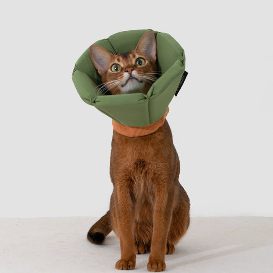 Sponge Cone Elizabethan Collar