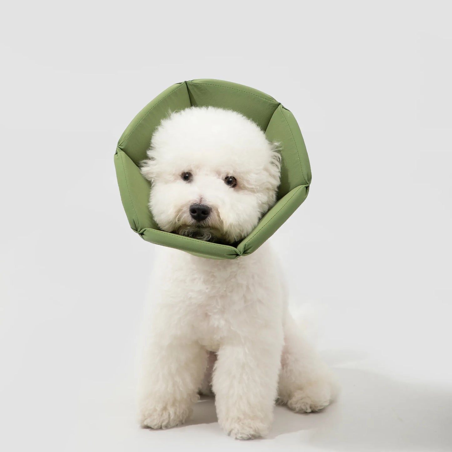 Sponge Cone Elizabethan Collar