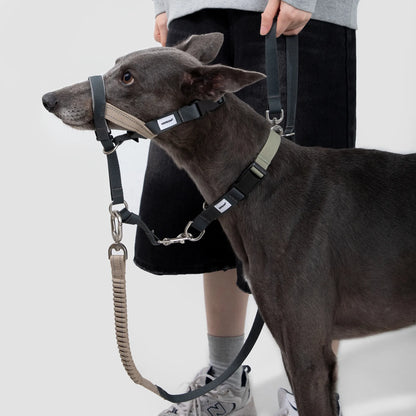 Valley Series Anti-Bite Dog Muzzle