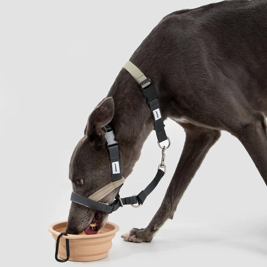 Valley Series Anti-Bite Dog Muzzle