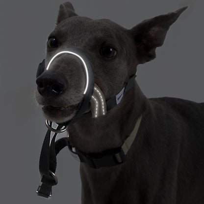 Valley Series Anti-Bite Dog Muzzle