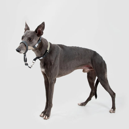 Valley Series Anti-Bite Dog Muzzle
