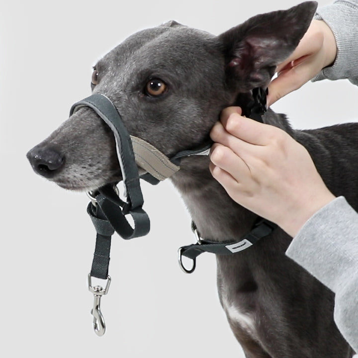Valley Series Anti-Bite Dog Muzzle