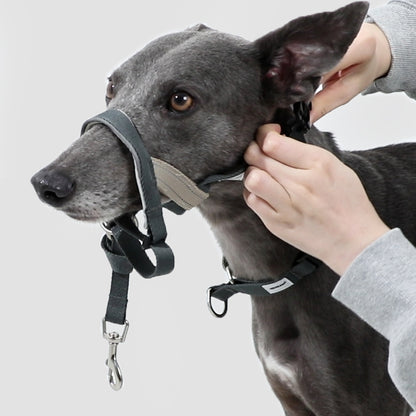 Valley Series Anti-Bite Dog Muzzle