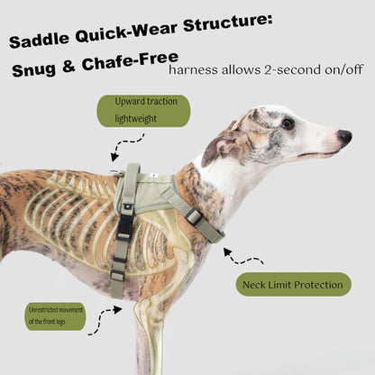 Valley Series No-Pull Quick-Put On Dog Harness