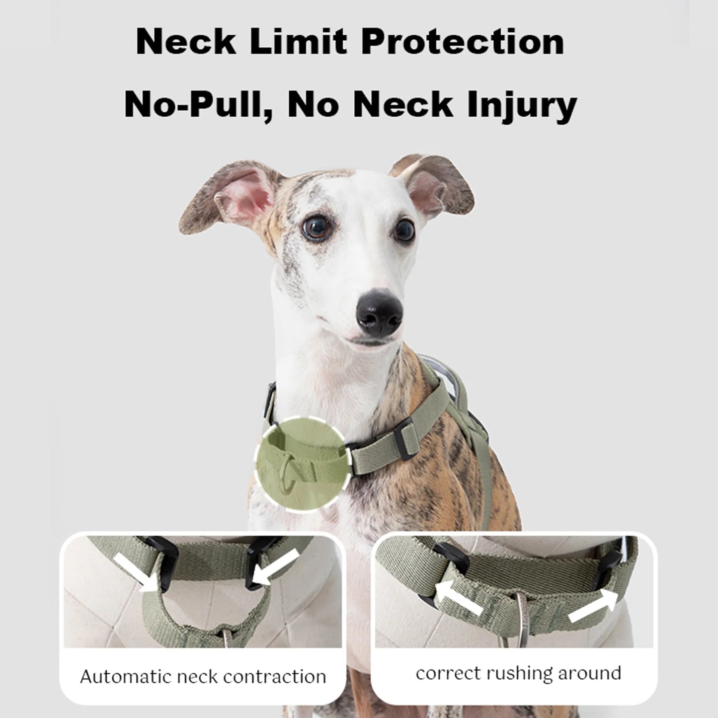 Valley Series No-Pull Quick-Put On Dog Harness