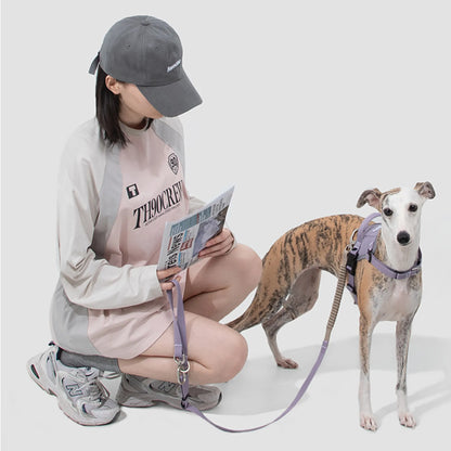 Valley Series No-Pull Quick-Put On Dog Harness