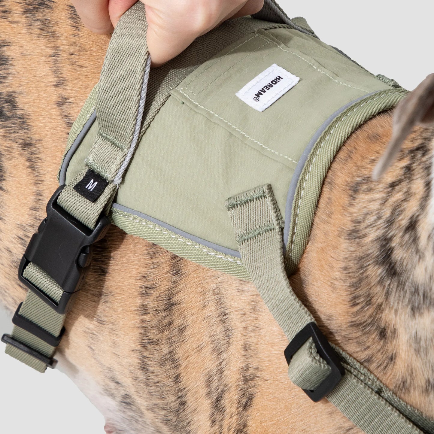 Valley Series No-Pull Quick-Put On Dog Harness