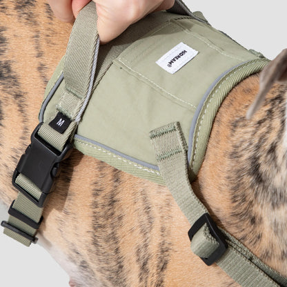 Valley Series No-Pull Quick-Put On Dog Harness