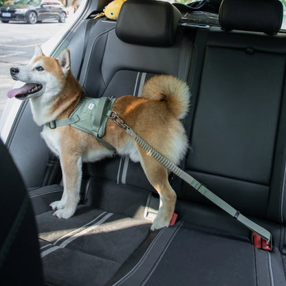 Valley Series Pet Car Seat Belt