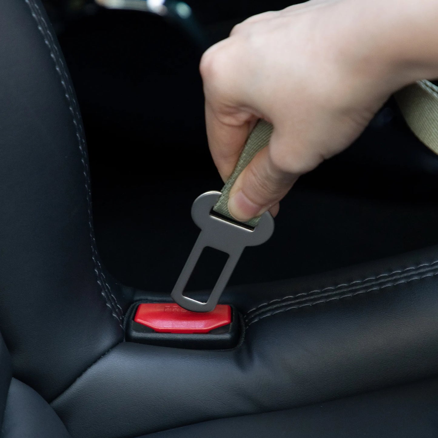 Valley Series Pet Car Seat Belt