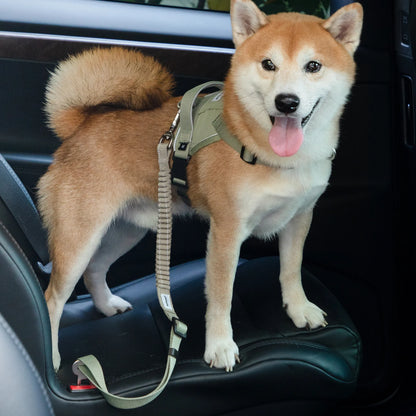 Valley Series Pet Car Seat Belt