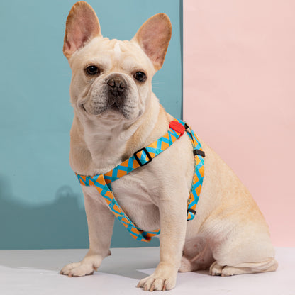 Vibrant Collection Y-Shape Dog Harness