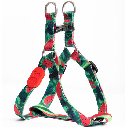 Vibrant Collection Y-Shape Dog Harness