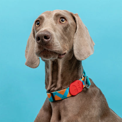 Vibrant PRO Series Half-P Anti-Pull Dog Collar