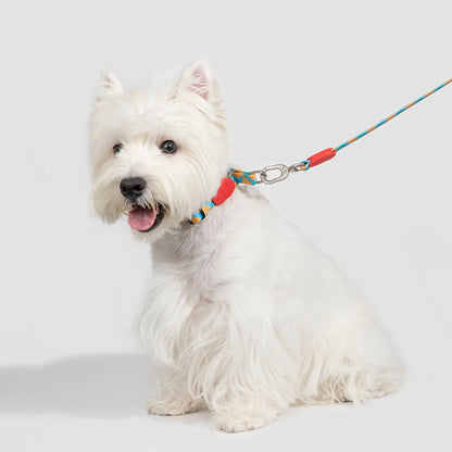 Vibrant PRO Series Half-P Anti-Pull Dog Collar