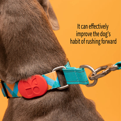 Vibrant PRO Series Half-P Anti-Pull Dog Collar
